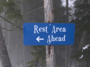Rest Area? by Peter Dutton