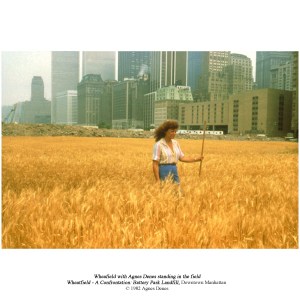 Wheatfield by Agnes Denes