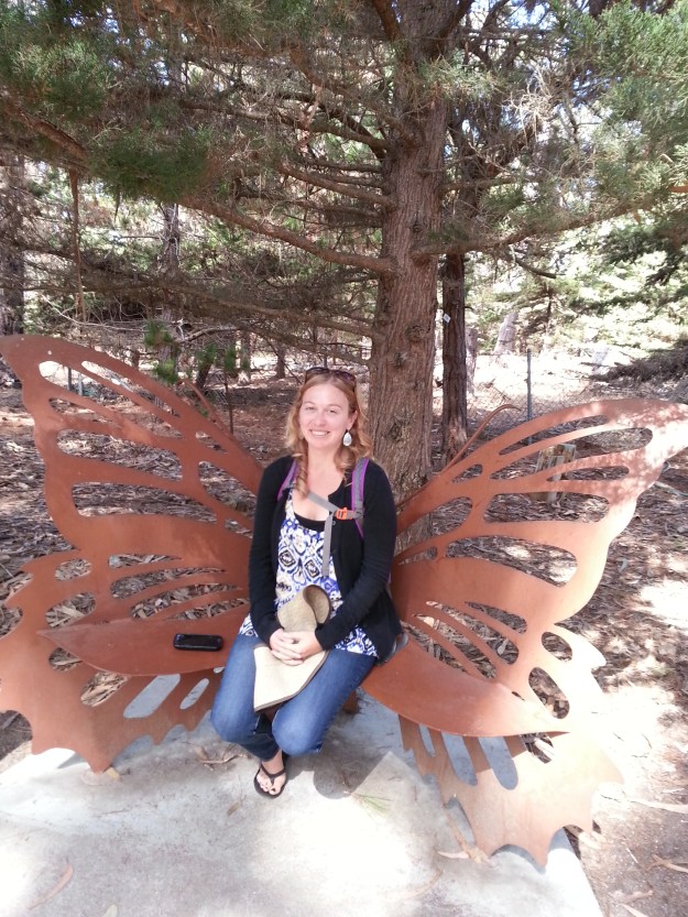 20151010_131409  A Beautiful Butterfly