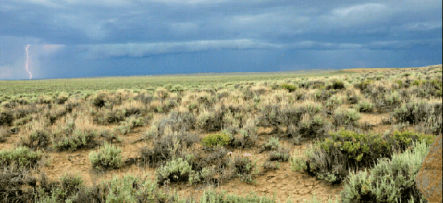 gm_20170323_191515 Giff from Dale Diary of a Internet Nobody