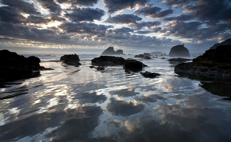 Humboldt coast, Northern California by Bob Wick
